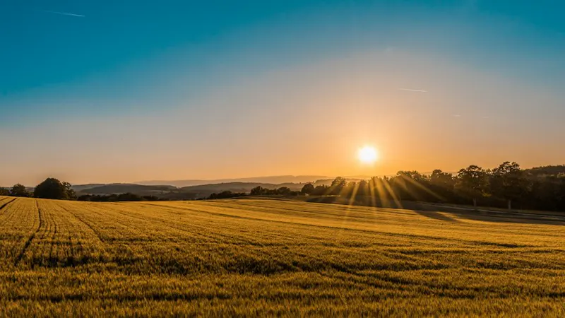 Terreno amplio a campo abierto al atardecer, ideal para construir o invertir